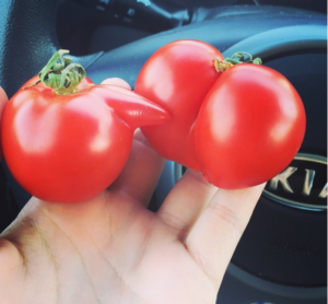 tomat-sex-bilder-eavisa